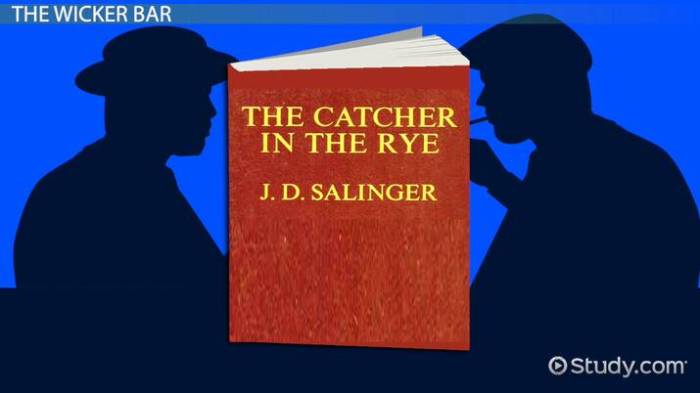 The catcher in the rye chapter 3