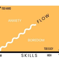 Flow theory recreation