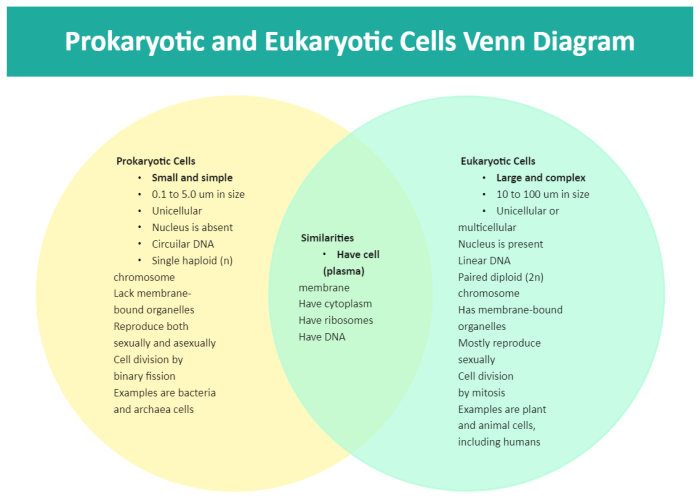 Venn diagram eukaryotes and prokaryotes