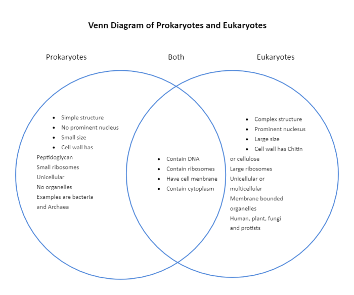 Venn diagram eukaryotes and prokaryotes