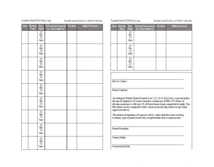 Cda police daily activity log