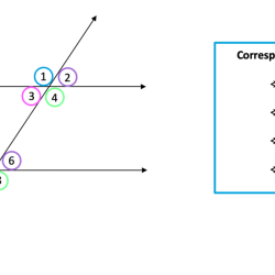 Parallel lines and transversals quiz