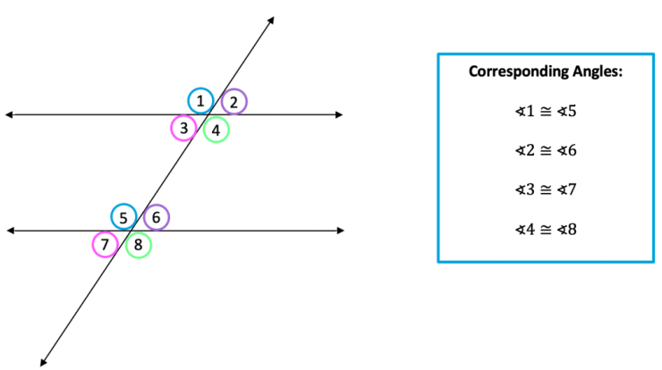 Parallel lines and transversals quiz