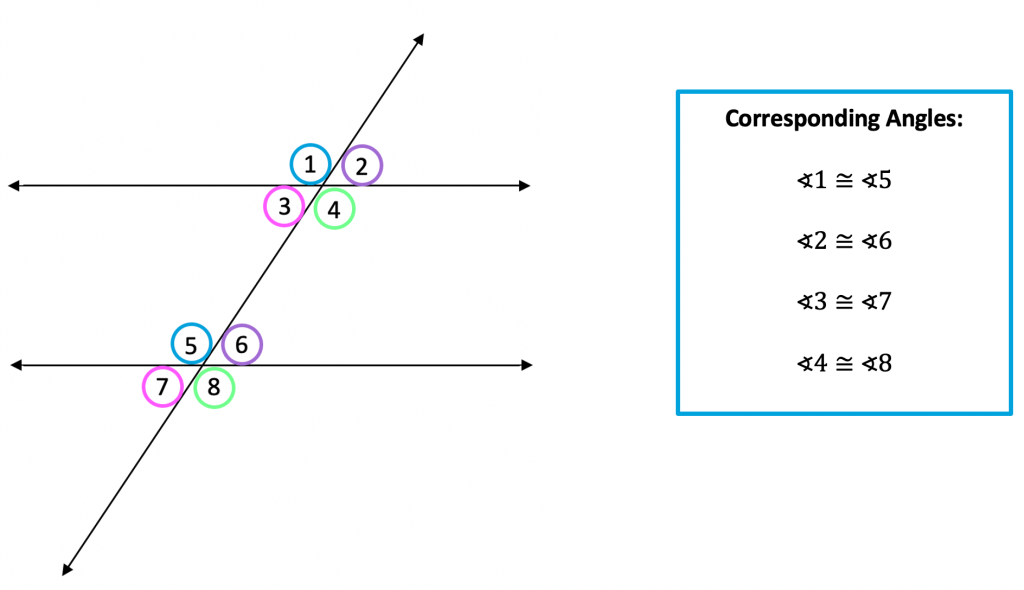 Parallel lines and transversals quiz