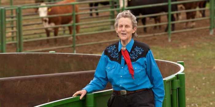 Temple grandin movie worksheet answers key