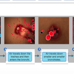 Label appropriate drag each location flowchart homework chapter