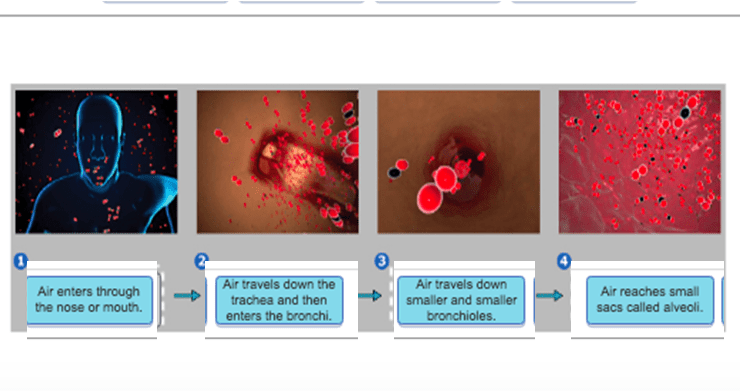 Label appropriate drag each location flowchart homework chapter