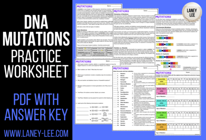 Investigation dna proteins and mutations answer key pdf