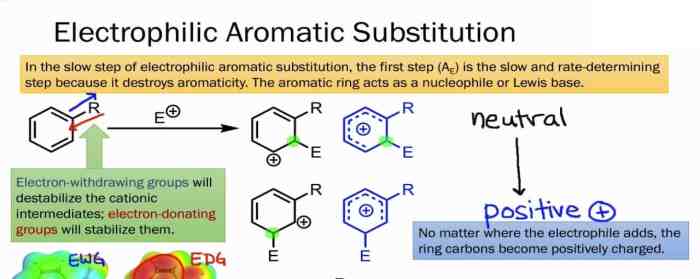 Electrophilic aromatic substitution lab report