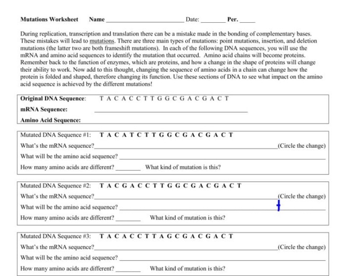 Investigation dna proteins and mutations answer key pdf