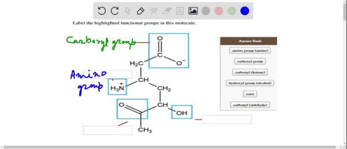 Label the highlighted functional groups in this molecule