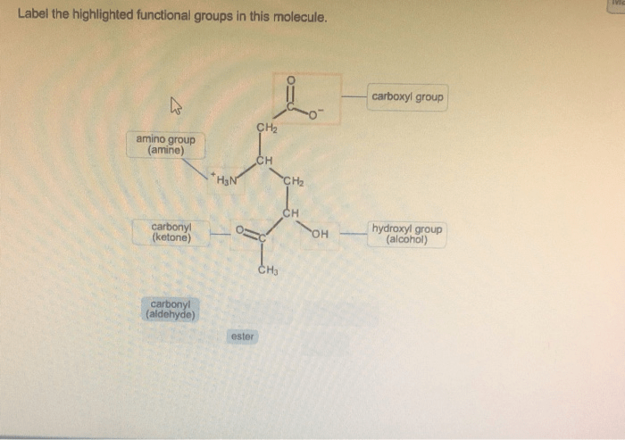 Label the highlighted functional groups in this molecule