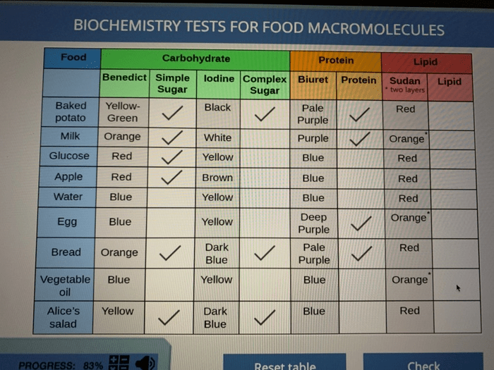 Biochemical tests for food macromolecules labster