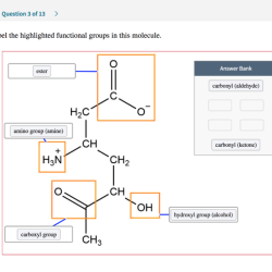 Groups functional label chegg gt structure chemistry organic go back