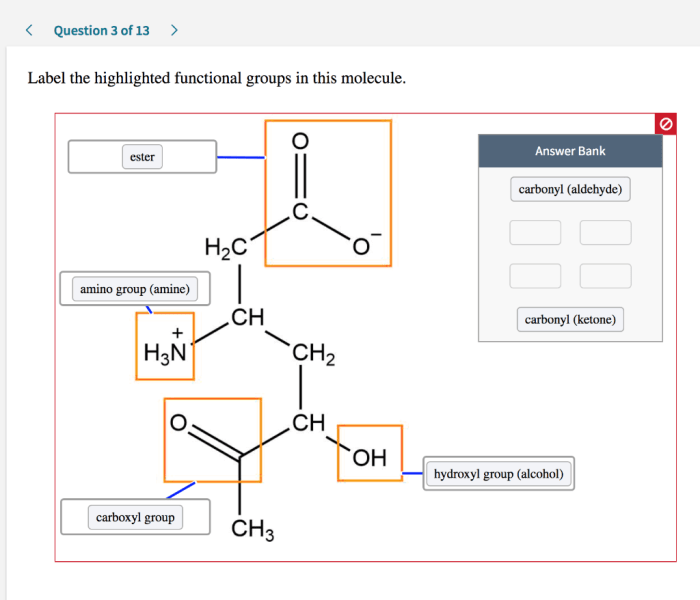 Groups functional label chegg gt structure chemistry organic go back